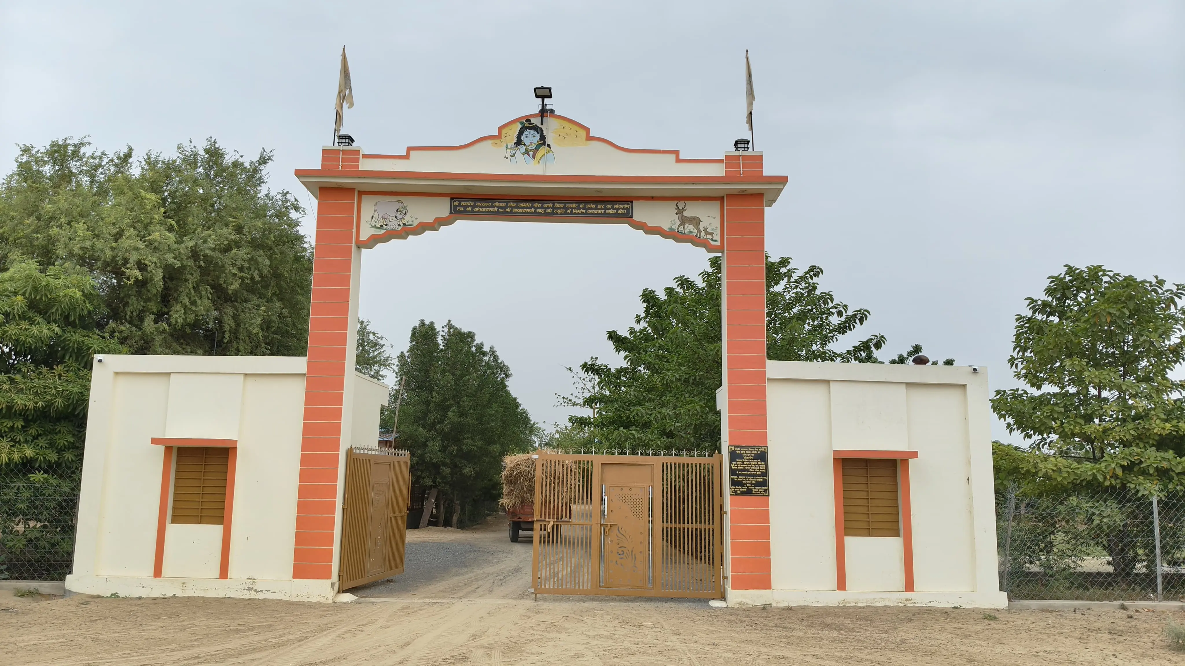 गौशाला में गायें