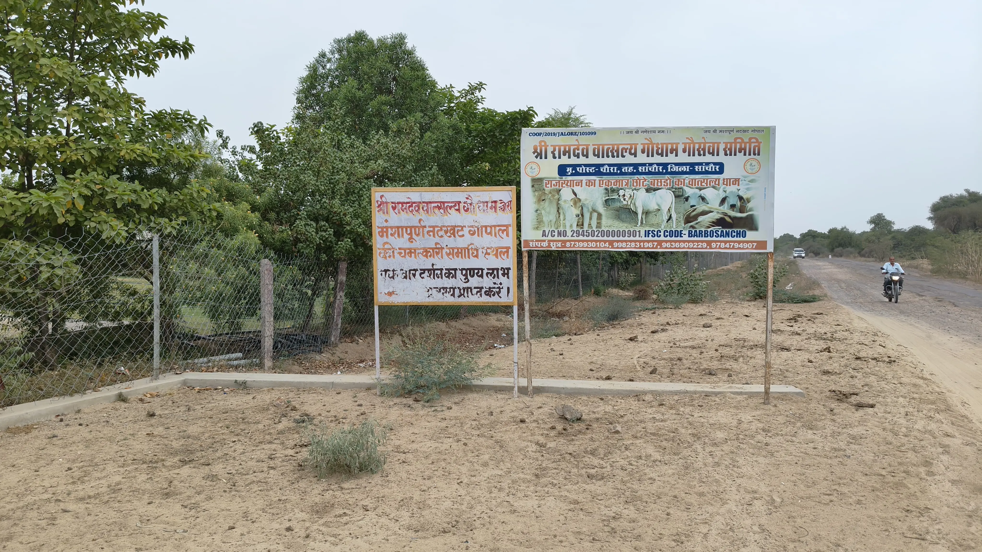 पशुओं के लिए हरा चारा